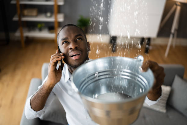 Best Basement water damage restoration  in Mcclure, PA