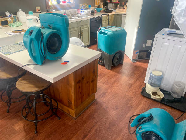 Best Water damage restoration near me  in Mcclure, PA